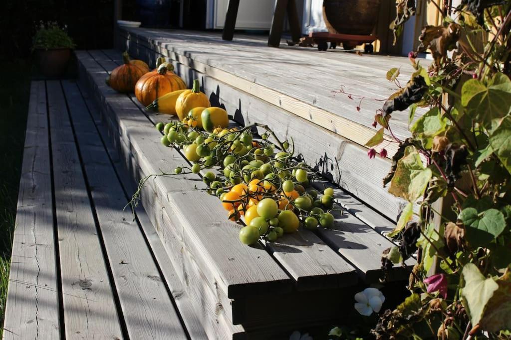 Holiday home Tradgardshuset Garden House *
